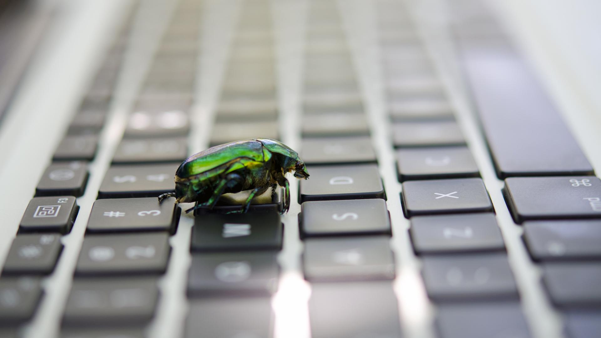 Bitcoin developers uncovered 85 critical bugs and nearly 5,000 security issues across 390 projects using AI, warning the ecosystem faces an "extremely bad" security situation